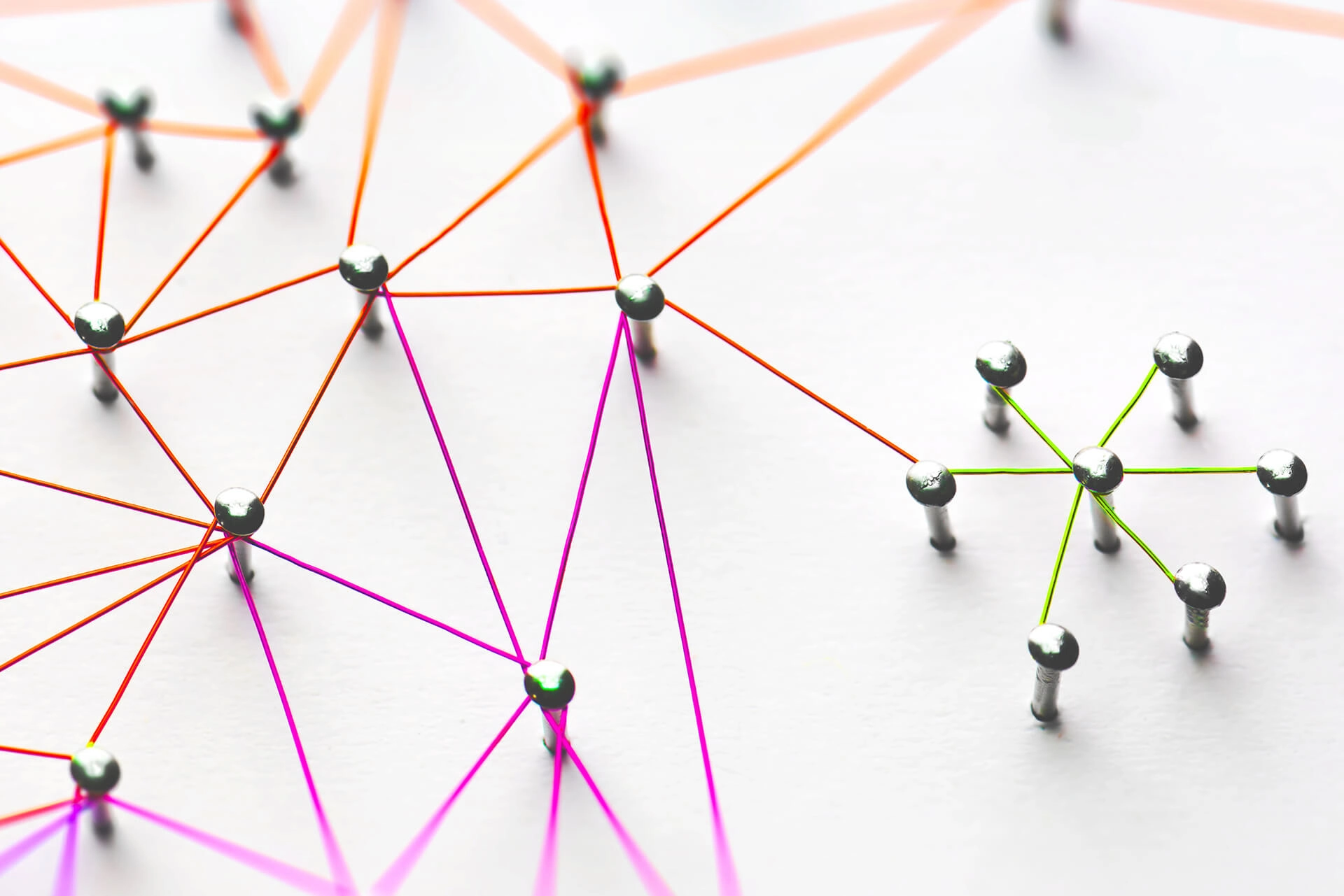 Headerbanner Blog The Importance Of Employee Advocacy (1)